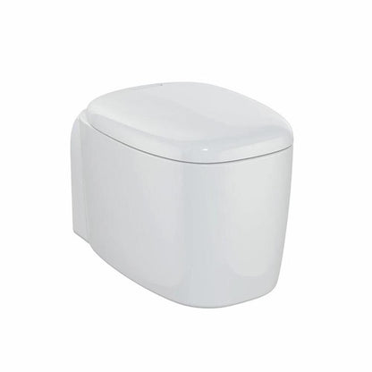 VitrA Plural Rim-ex Asma Klozet Beyaz 55 cm 7830B403-0090