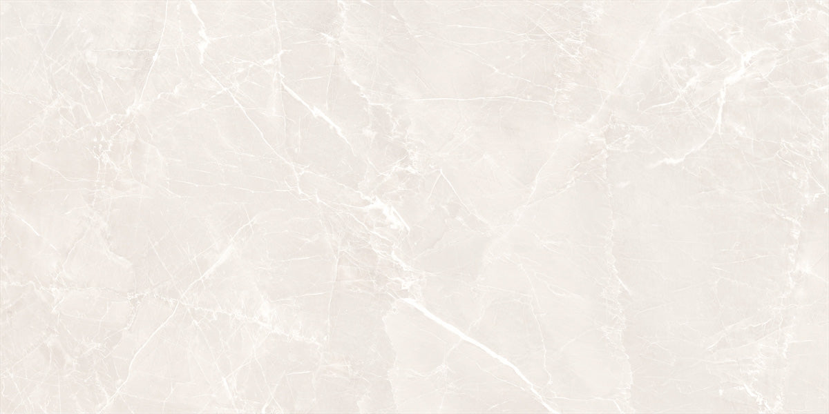 60X120 GRIGIO WHITE FULL LAPPATO