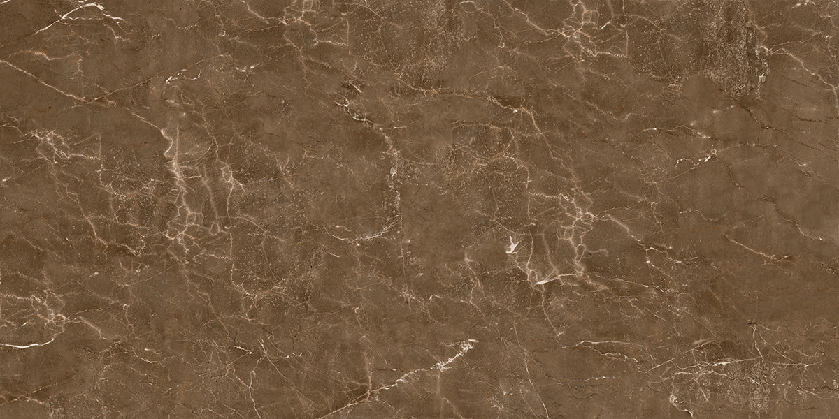 60X120 IMPERIO BROWN FULL LAPPATO