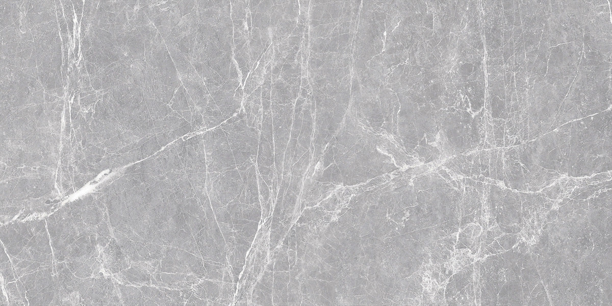 60X120 TERRE GREY FULL LAPPATO